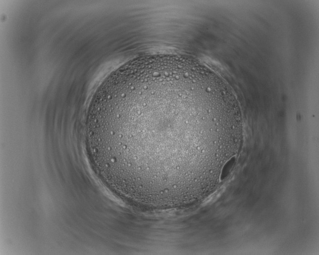 X0000069380049200605192159