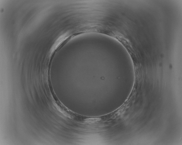 X0000069380051200605192159