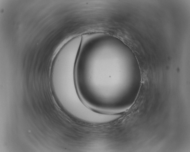 X0000069380052200605192159