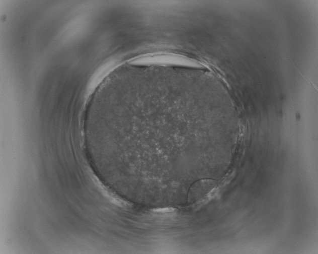 X0000069380053200605192159