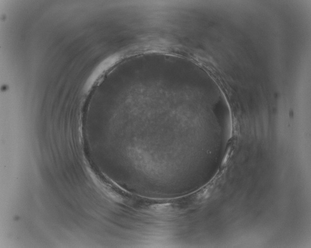 X0000069380054200605192159