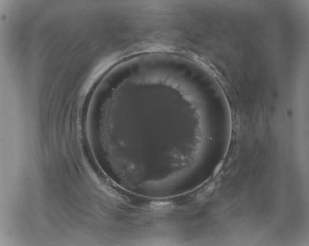 X0000069380055200605192159