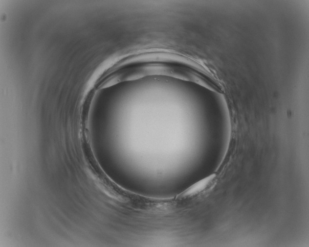 X0000069380056200605192159