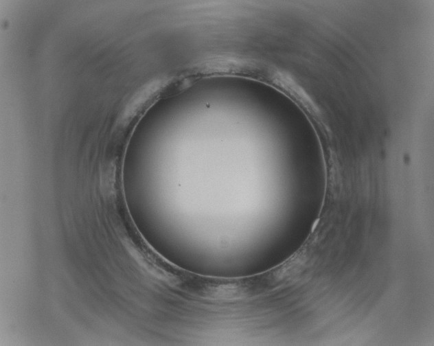 X0000069380058200605192159