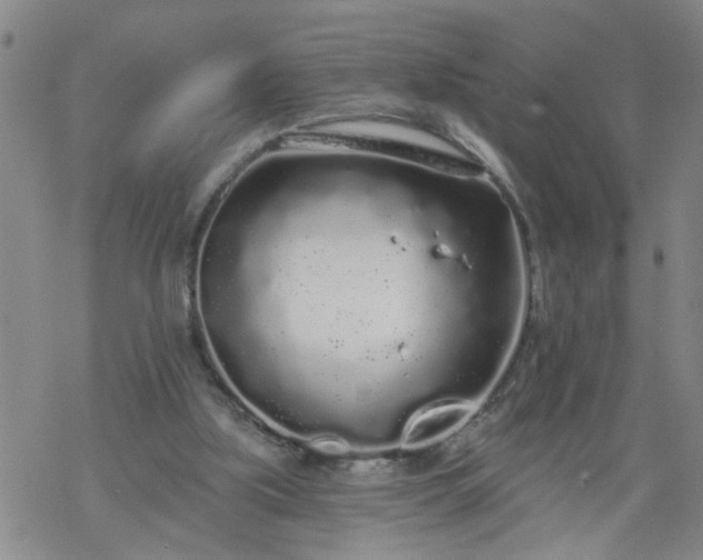 X0000069380059200605192159