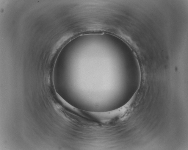 X0000069380060200605192159