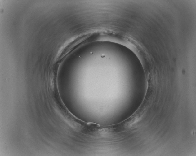 X0000069380064200605192159