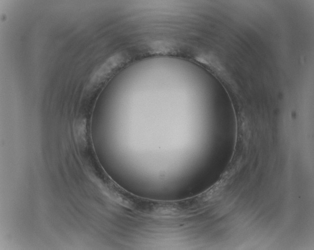 X0000069380066200605192159