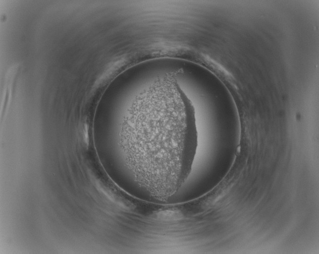 X0000069380067200605192159