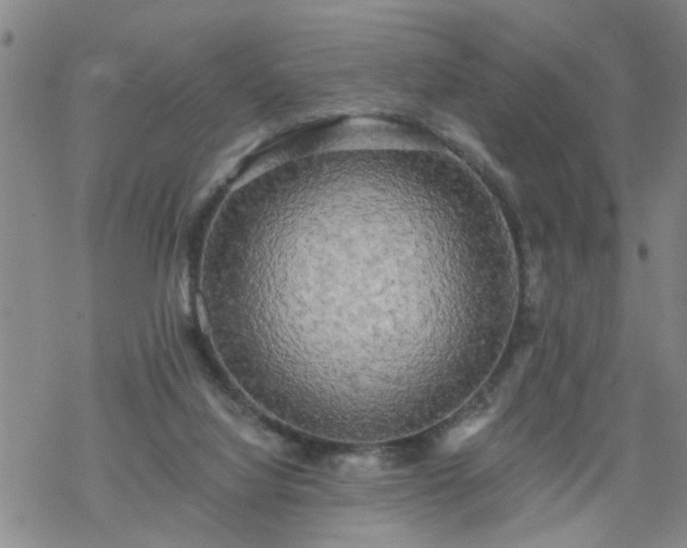 X0000069380068200605192159