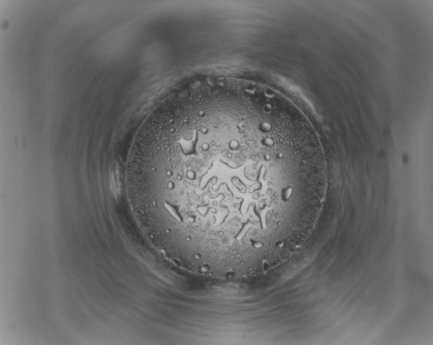 X0000069380069200605192159