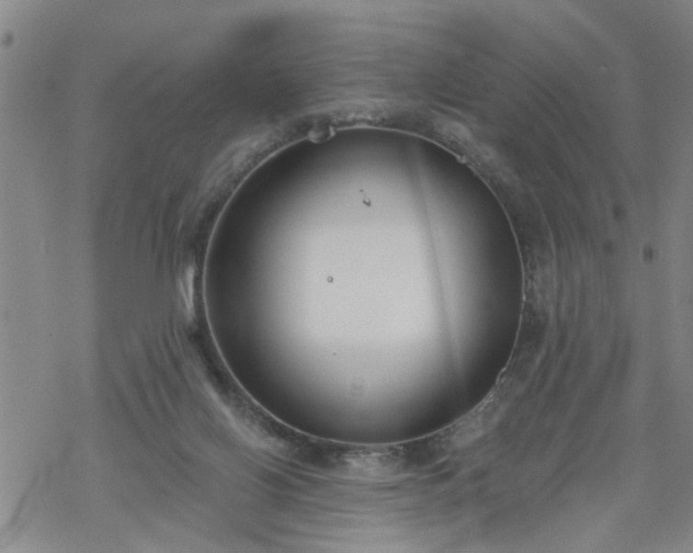 X0000069380070200605192159