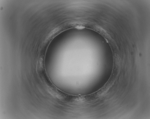 X0000069380071200605192159