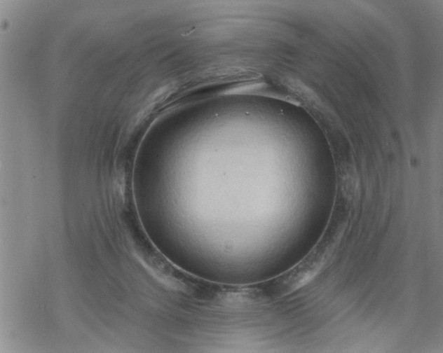 X0000069380072200605192159