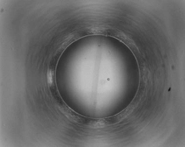 X0000069380075200605192159