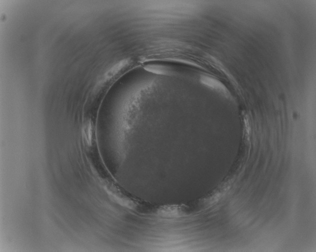 X0000069380076200605192159