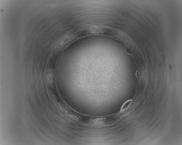 X0000069380078200605192159