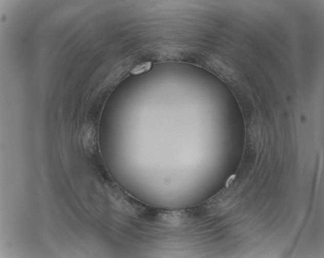 X0000069380079200605192159