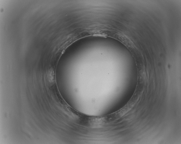 X0000069380081200605192159