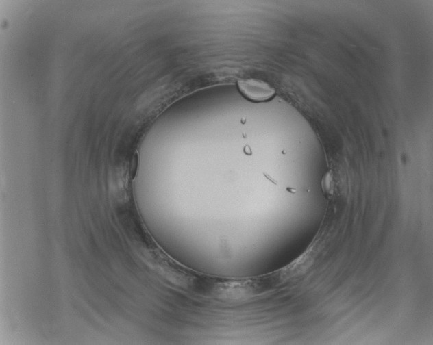 X0000069380082200605192159