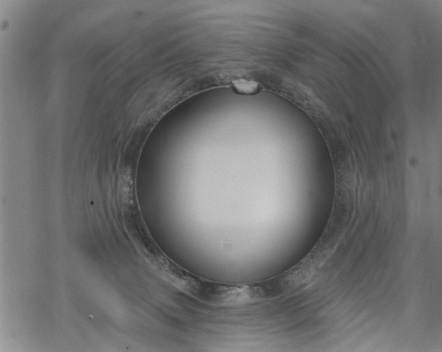 X0000069380083200605192159