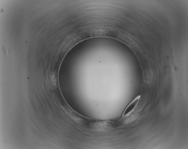 X0000069380086200605192159