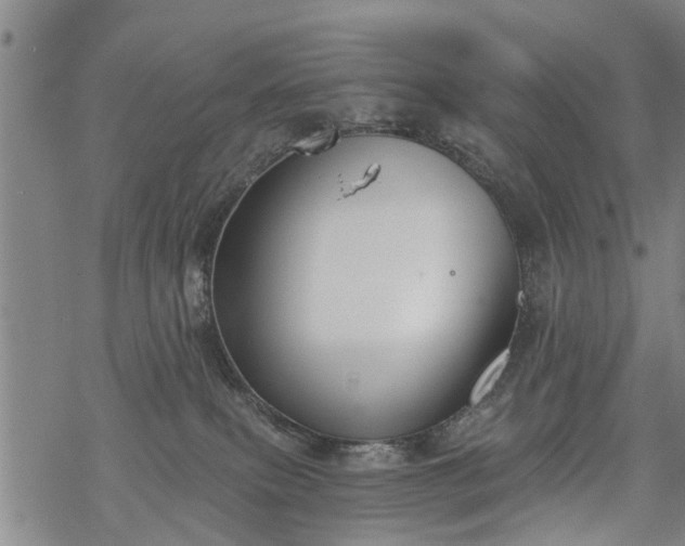 X0000069380087200605192159