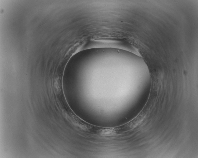 X0000069380088200605192159