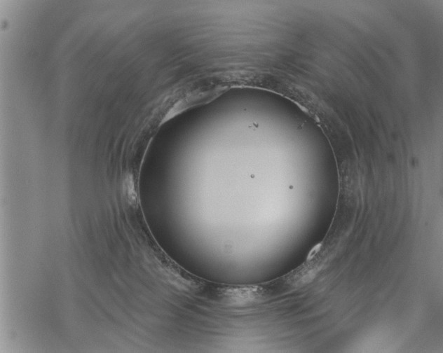 X0000069380089200605192159