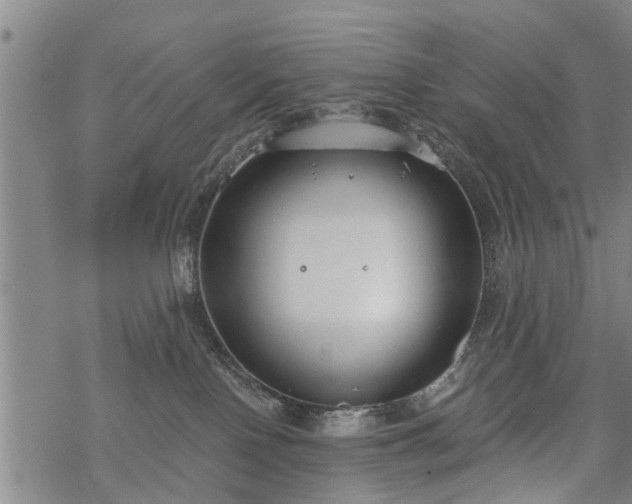 X0000069380090200605192159