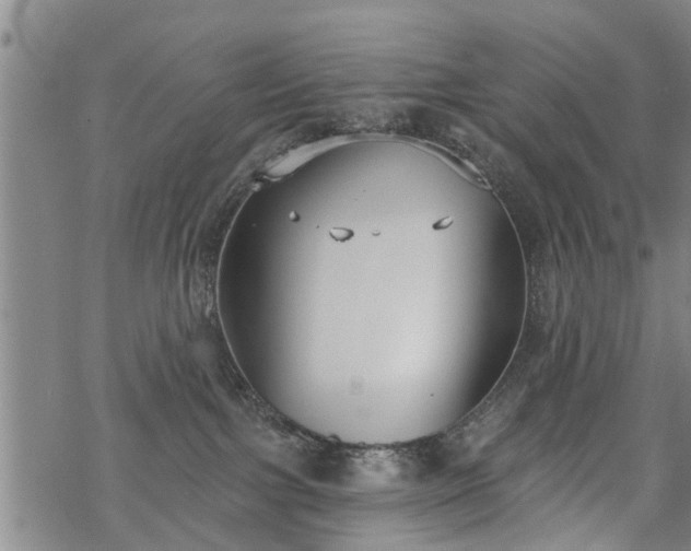 X0000069380091200605192200