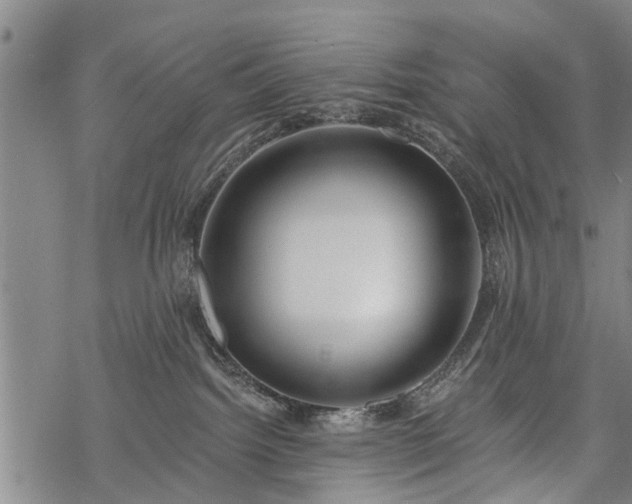 X0000069380092200605192200