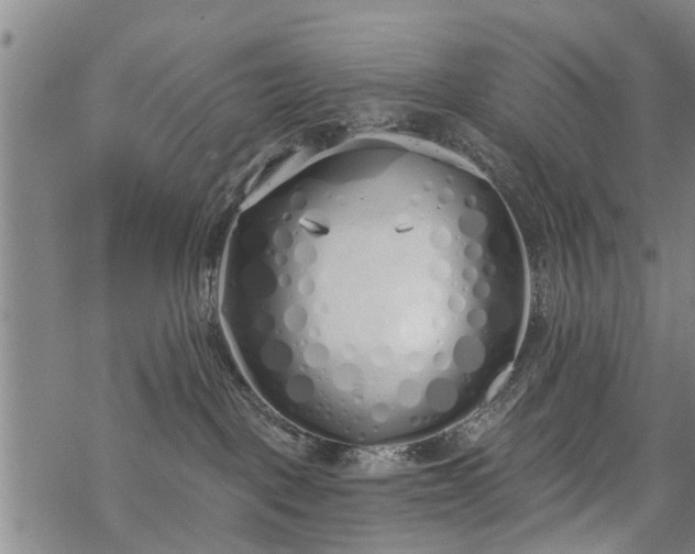 X0000069380093200605192200