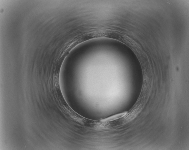 X0000069380096200605192200