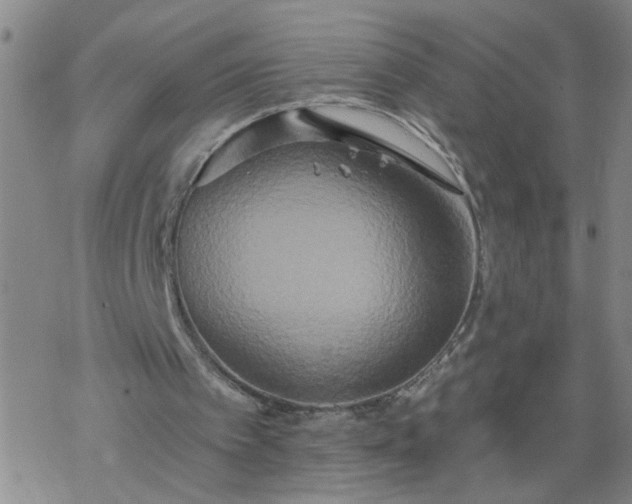 X0000069380097200605192159