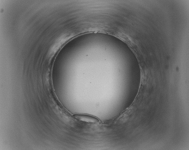 X0000069380098200605192159