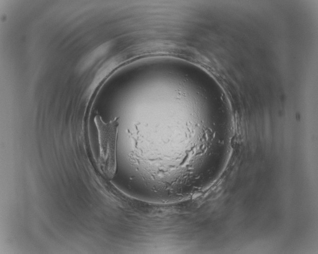 X0000069380099200605192159