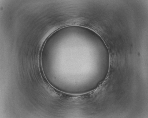 X0000069380100200605192159