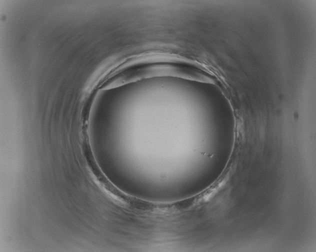 X0000069380101200605192159