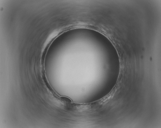 X0000069380102200605192159