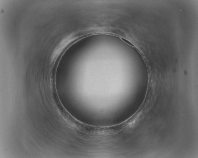 X0000069380103200605192159