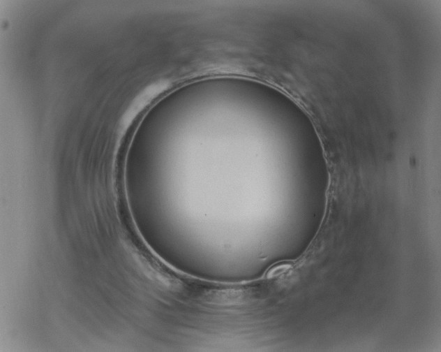 X0000069380104200605192159