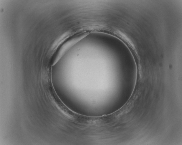 X0000069380105200605192159