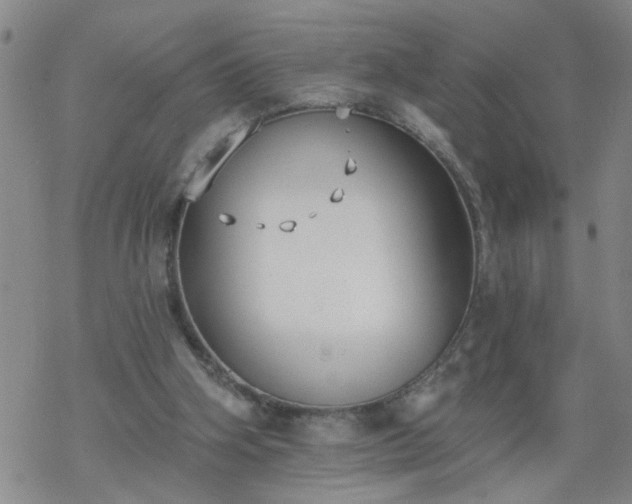 X0000069380106200605192159