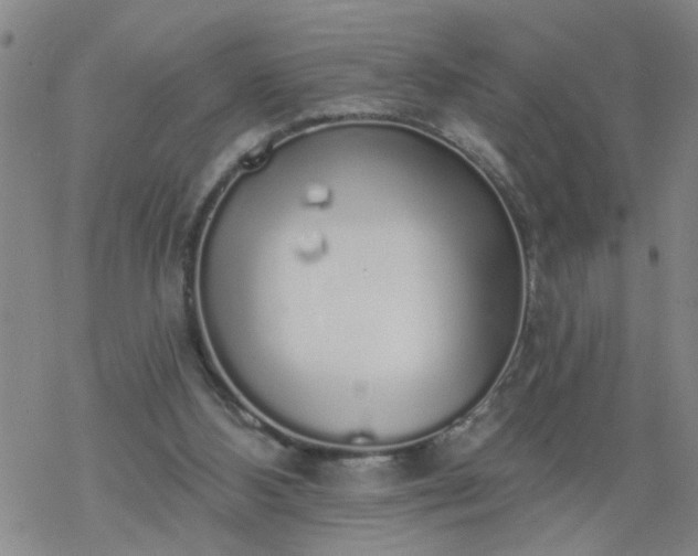 X0000069380108200605192159