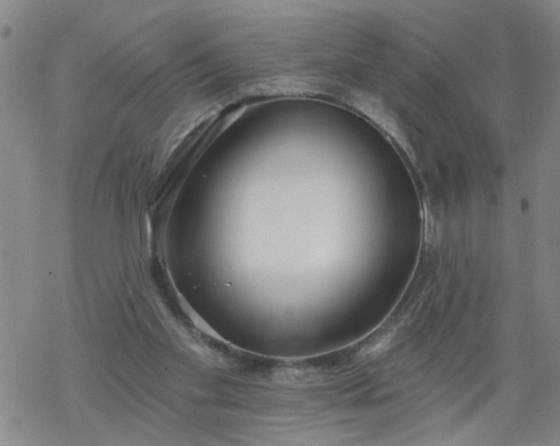 X0000069380109200605192159