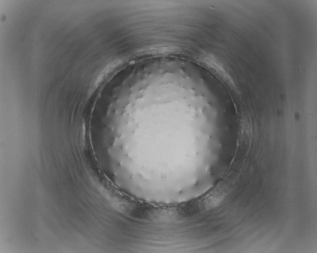 X0000069380110200605192159