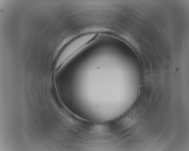 X0000069380111200605192159