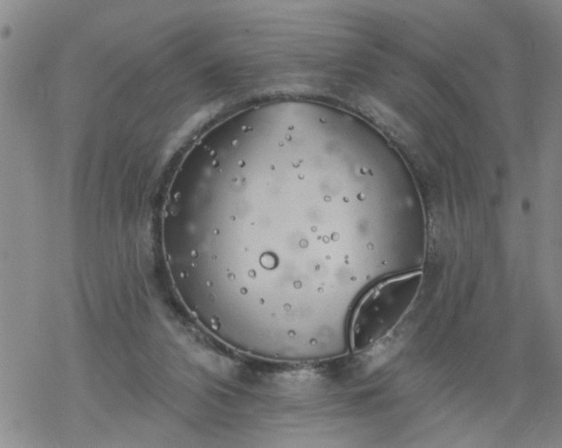 X0000069380112200605192159