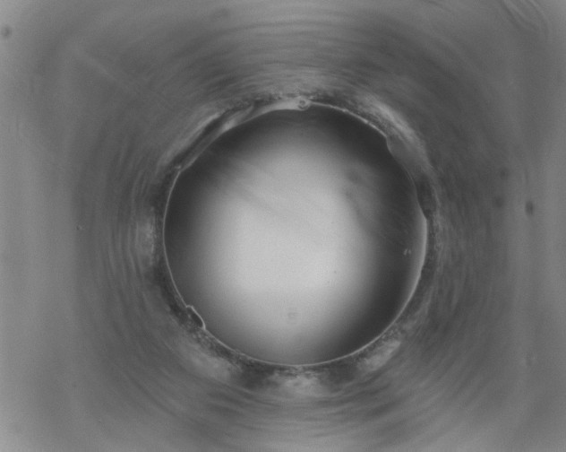 X0000069380113200605192159